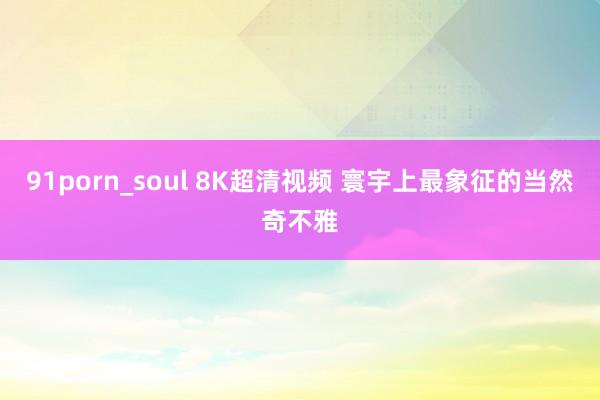 91porn_soul 8K超清视频 寰宇上最象征的当然奇不雅